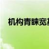 机构青睐宽基ETF 汇金二季度或大幅增持