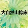 大自然山棕床垫的优缺点（棕床垫的优缺点）