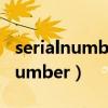 serialnumber是什么意思中文翻译（serialnumber）