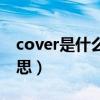 cover是什么意思网络用语（cover是什么意思）