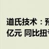 道氏技术：预计上半年净利润8800万元-1.32亿元 同比扭亏