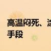 高温闷死、涂抹粪便...蜜蜂还有这些奇葩防御手段