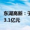 东湖高新：子公司拟向湖北数据集团增资不超3.1亿元