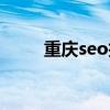 重庆seo技术教程（重庆seo服务）