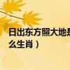 日出东方照大地是什么生肖打一数字（日出东方照大地是什么生肖）