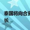 泰国将向合资格公民发放1万泰铢 借以提振增长