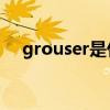 grouser是什么意思（user是什么意思）