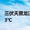 三伏天黑龙江穿上羽绒服了：早上气温仅有13℃