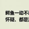 鳄鱼一动不动引质疑 南宁动物园回应：不用怀疑、都是活的