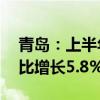 青岛：上半年全市生产总值7978.67亿元 同比增长5.8%