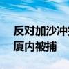 反对加沙冲突 约200名抗议者在美国国会大厦内被捕