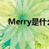 Merry是什么意思?（merry是什么意思）