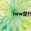 new是什么意思（ne是什么意思）