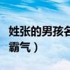 姓张的男孩名字霸气属龙（姓张的男孩名字要霸气）