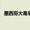 墨西哥大毒枭伊斯梅尔·赞巴达在美国被捕