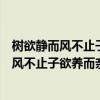 树欲静而风不止子欲养而亲不待是什么意思图片（树欲静而风不止子欲养而亲不待是什么意思）