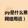 py是什么意思网络用语英语（py是什么意思网络用语）