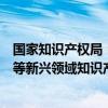 国家知识产权局：鼓励产业界更多参与数字经济、人工智能等新兴领域知识产权国际治理