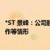 *ST 景峰：公司股票价格短期内涨幅较大 可能存在非理性炒作等情形