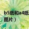 b5纸和a4纸大小对比图片（b5纸和a4纸比较图片）