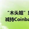 “木头姐”旗下方舟投资二季度增持特斯拉 减持Coinbase