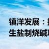 镇洋发展：拟9.39亿元投建年处理10万吨再生盐制烧碱项目