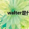 walter是什么牌子（walter什么意思）