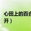 心田上的百合花开阅读答案（心田上的百合花开）