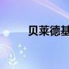 贝莱德基金首席投资官陆文杰离职