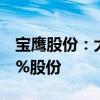 宝鹰股份：大横琴集团拟要约收购公司13.95%股份