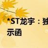 *ST龙宇：独立董事何晓云收到上海证监局警示函