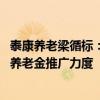 泰康养老梁循标：延迟退休可能带来收入空档期 会加速个人养老金推广力度