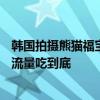 韩国拍摄熊猫福宝电影《再见爷爷》定档9月4日 网友吐槽：流量吃到底