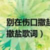 别在伤口撒盐歌词歌词是什么意思（别在伤口撒盐歌词）