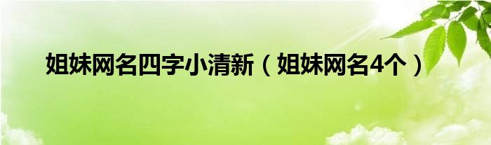 四个字的姐妹名字大全（四个字的姐妹网名可爱）