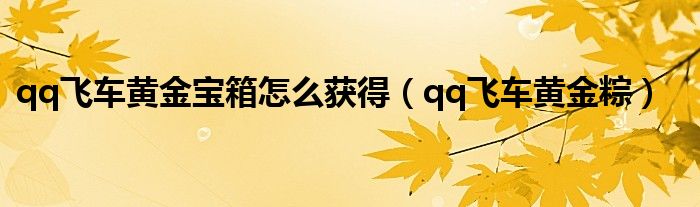 qq飞车黄金粽在哪里兑换（qq飞车黄金宝箱有什么a车）