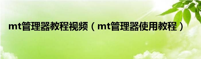 mt管理器 教程（mt管理器教学视频）