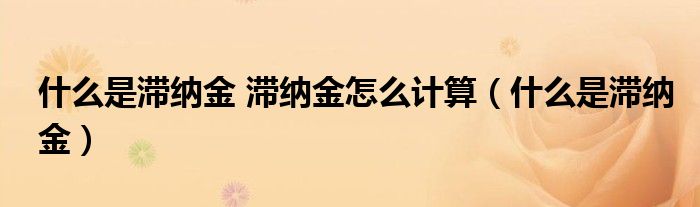 什么是滞纳金,为什么会产生滞纳金房贷（什么是滞纳金,滞纳金怎么算）