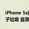 iPhone 5s真就是CCD平替引热议 网友：电子垃圾 韭菜太好割