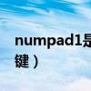 numpad1是哪个键要图（numpad1是哪个键）