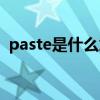 paste是什么意思中文（paste是什么意思）