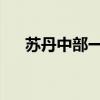 苏丹中部一村庄遇袭 造成至少8人死亡