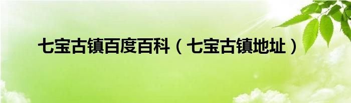 七宝古镇七件宝物图片（七宝古镇七宝琉璃塔）