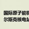 国际原子能机构确认总干事格罗西有意访问库尔斯克核电站