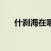 什刹海在哪条地铁线上（什刹海在哪）