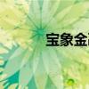 宝象金融最新回款（宝象网贷）