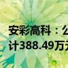 安彩高科：公司及子公司补缴税款和滞纳金共计388.49万元