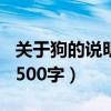 关于狗的说明文500字作文（关于狗的说明文500字）