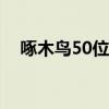 啄木鸟50位演员名字（啄木鸟女星大全）