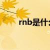 rnb是什么意思（rmb是什么意思）